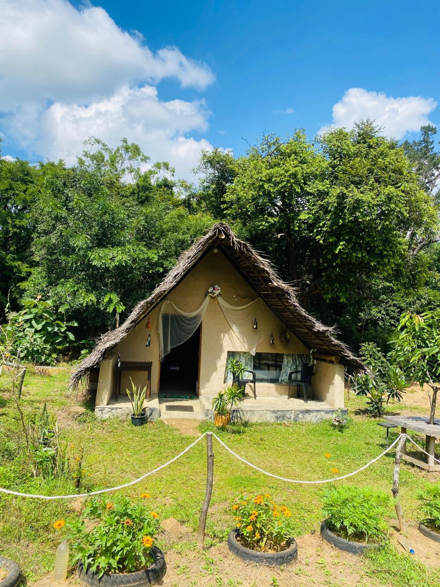 The Forest Edge Resort Dambulla Exterior photo